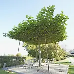 Des Ardennes Hotel 4*