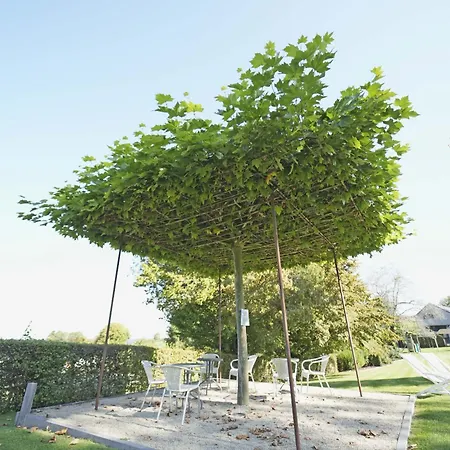 Des Ardennes Hotel 4*